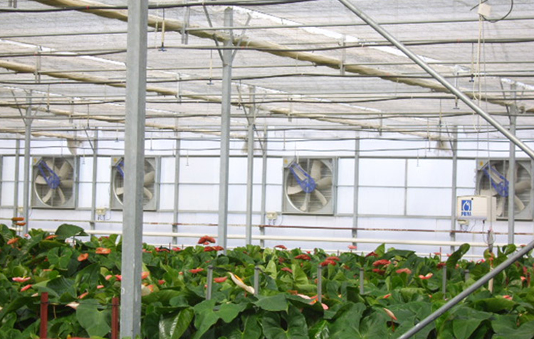 Greenhouse Cooling Systems