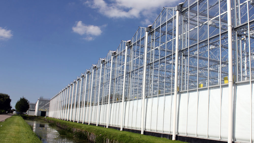 Turnkey Glass Greenhouses