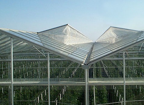 Venlo Greenhouses