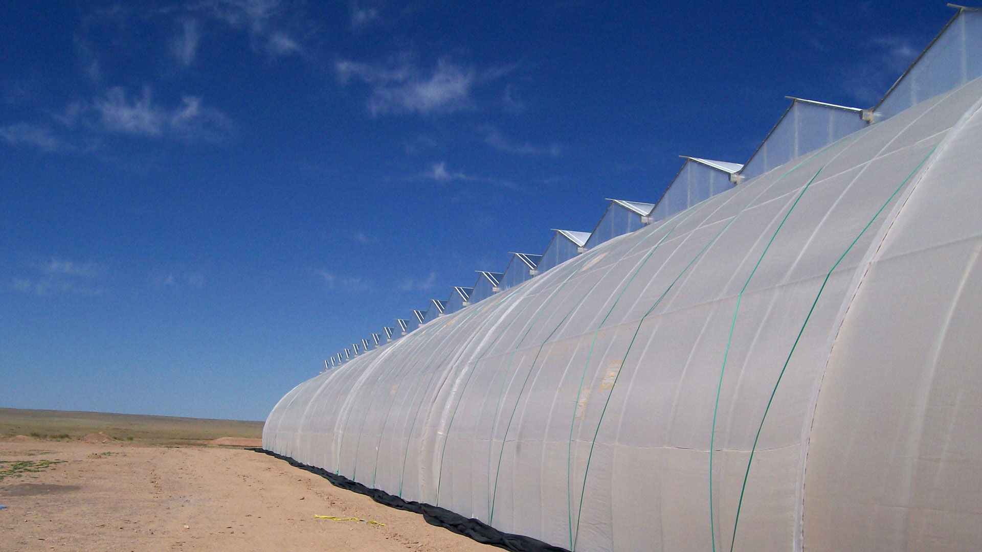 Turnkey Plastic Greenhouses