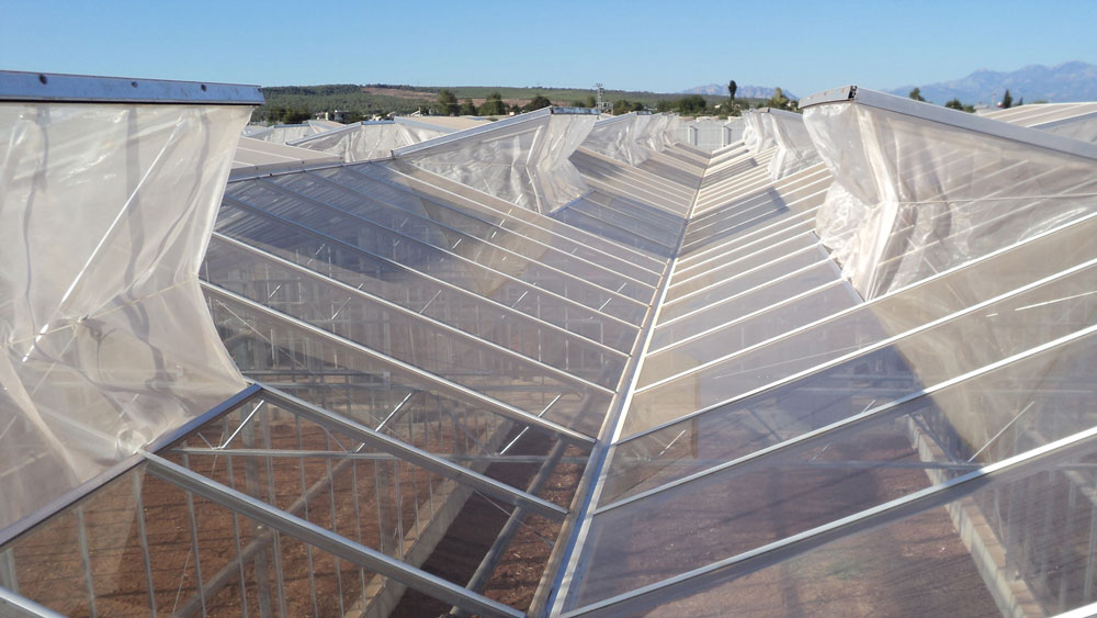 Plastic Greenhouse with External Curtains