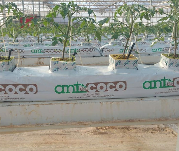 Farmco Agriculture Kirsehir - ANTCOCO
