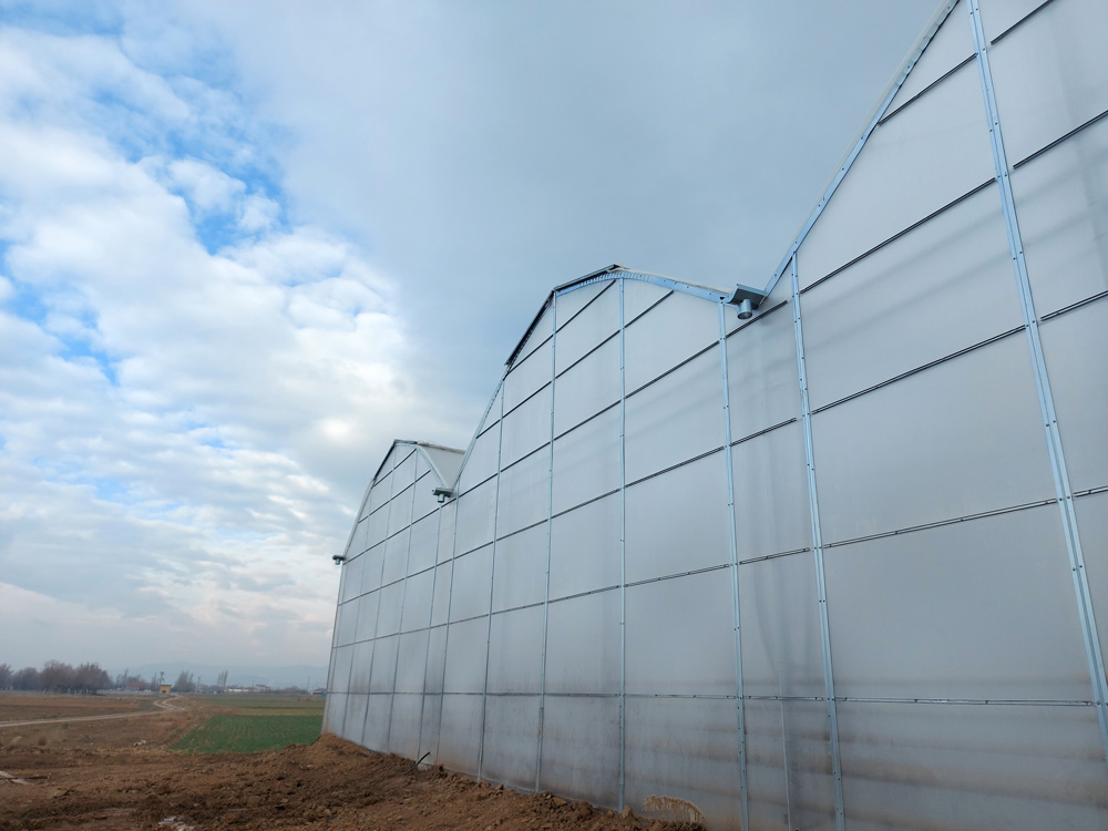 Aşıkoğlu Greenhouse Project - 2021