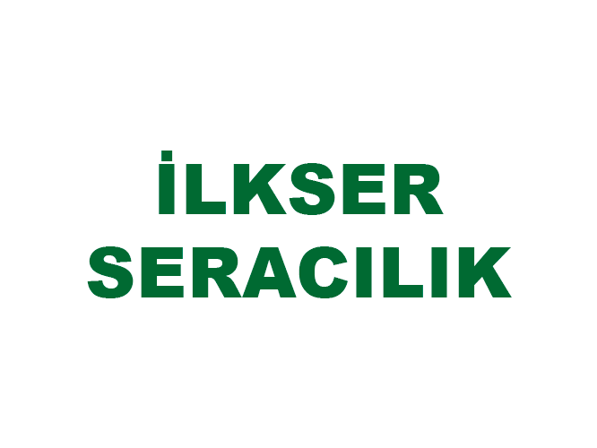 İ̇lkser Seedling Yozgat