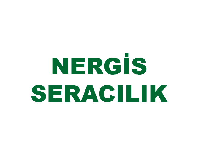 NERGİS SERACILIK