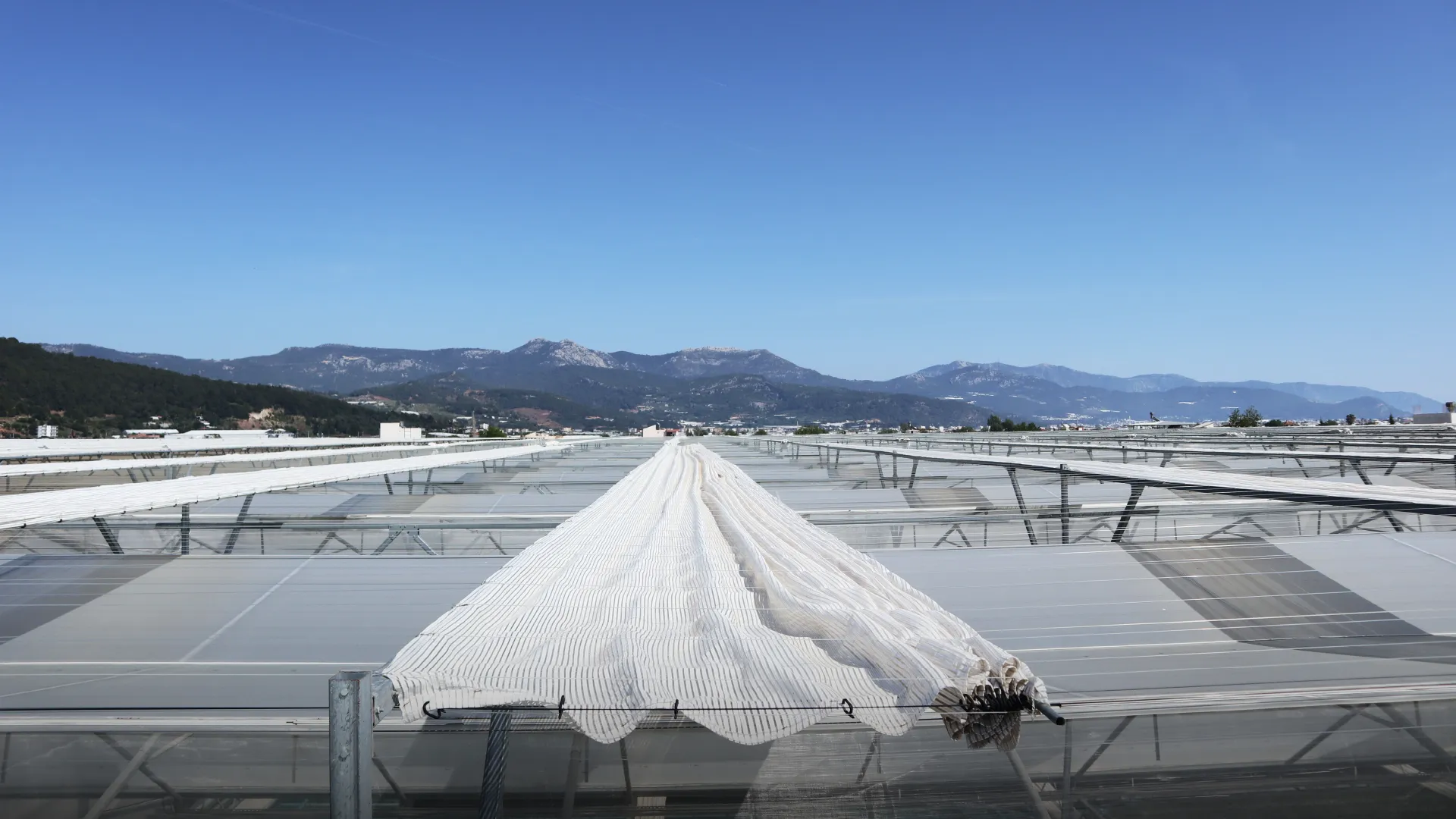 Plastic Greenhouses with External Curtains