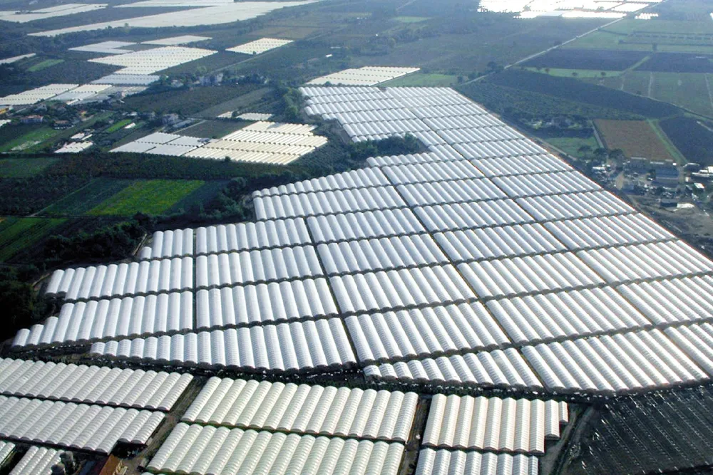 Greenhouse Plastics