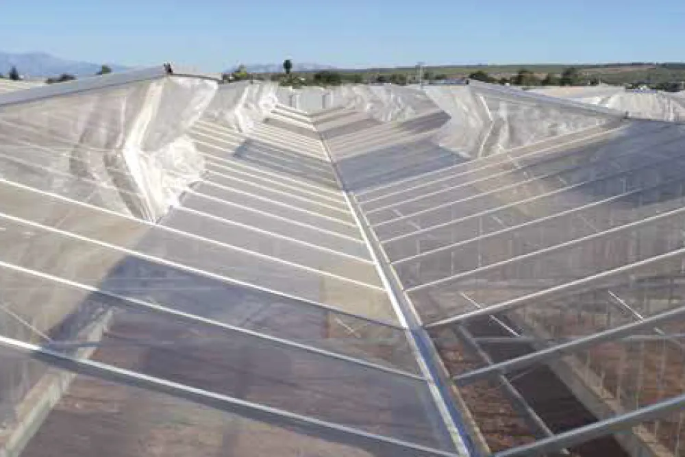 Insect Nets
