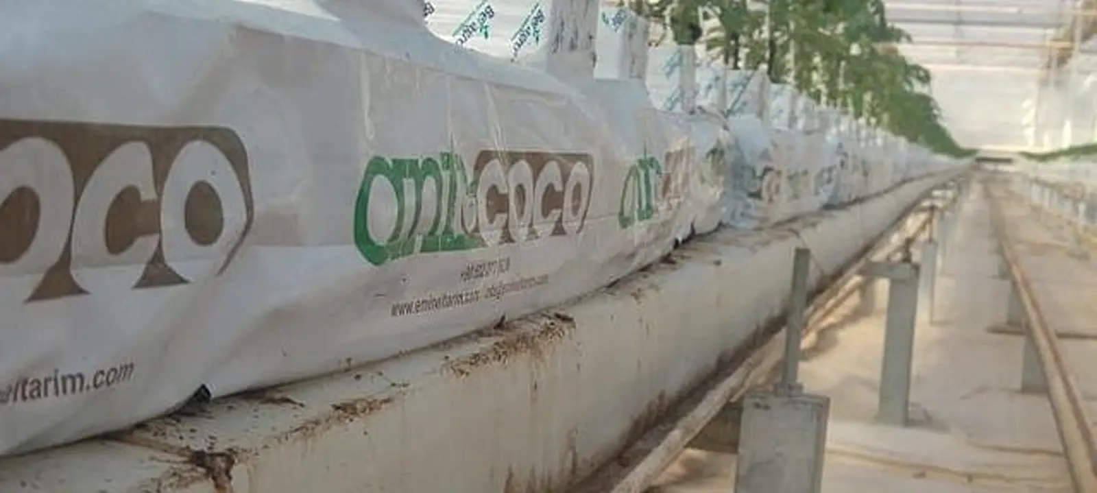Farmco Tarım - ANTCOCO