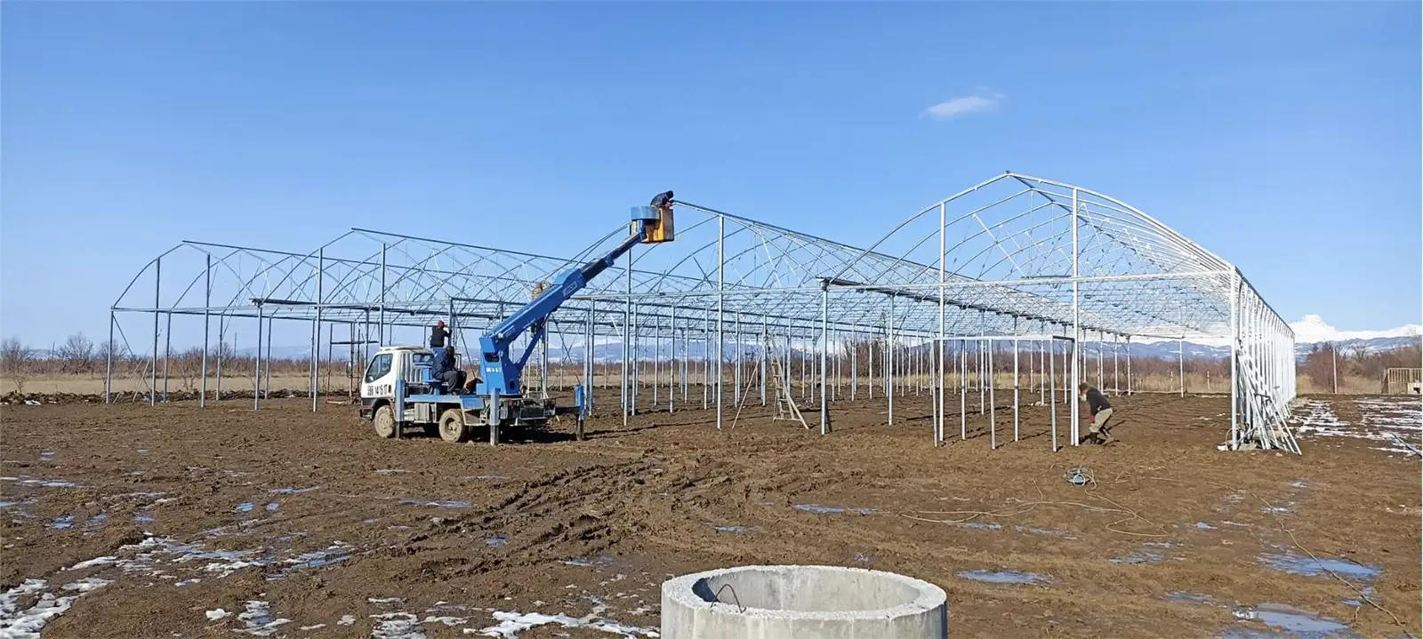 Georgia Greenhouse Project